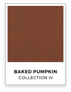 leather-collection-iv-baked-pumpkin@2x