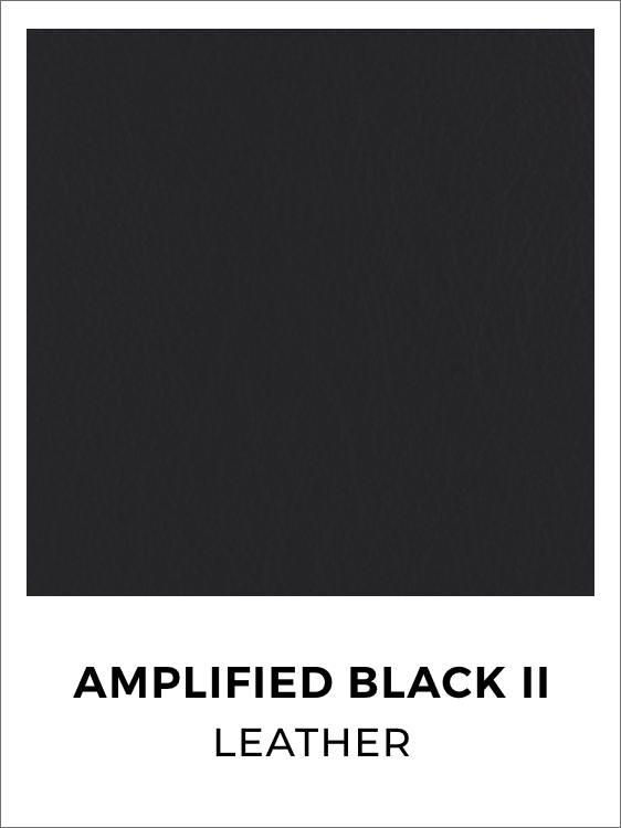 swatch-leather-amplified-black-ii@2x