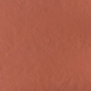Cedar Creek Swatch Leather 049 Salted Caramel Whiskey