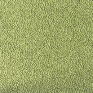 Cedar Creek Swatch Durahyde 173 Peppercorn Green