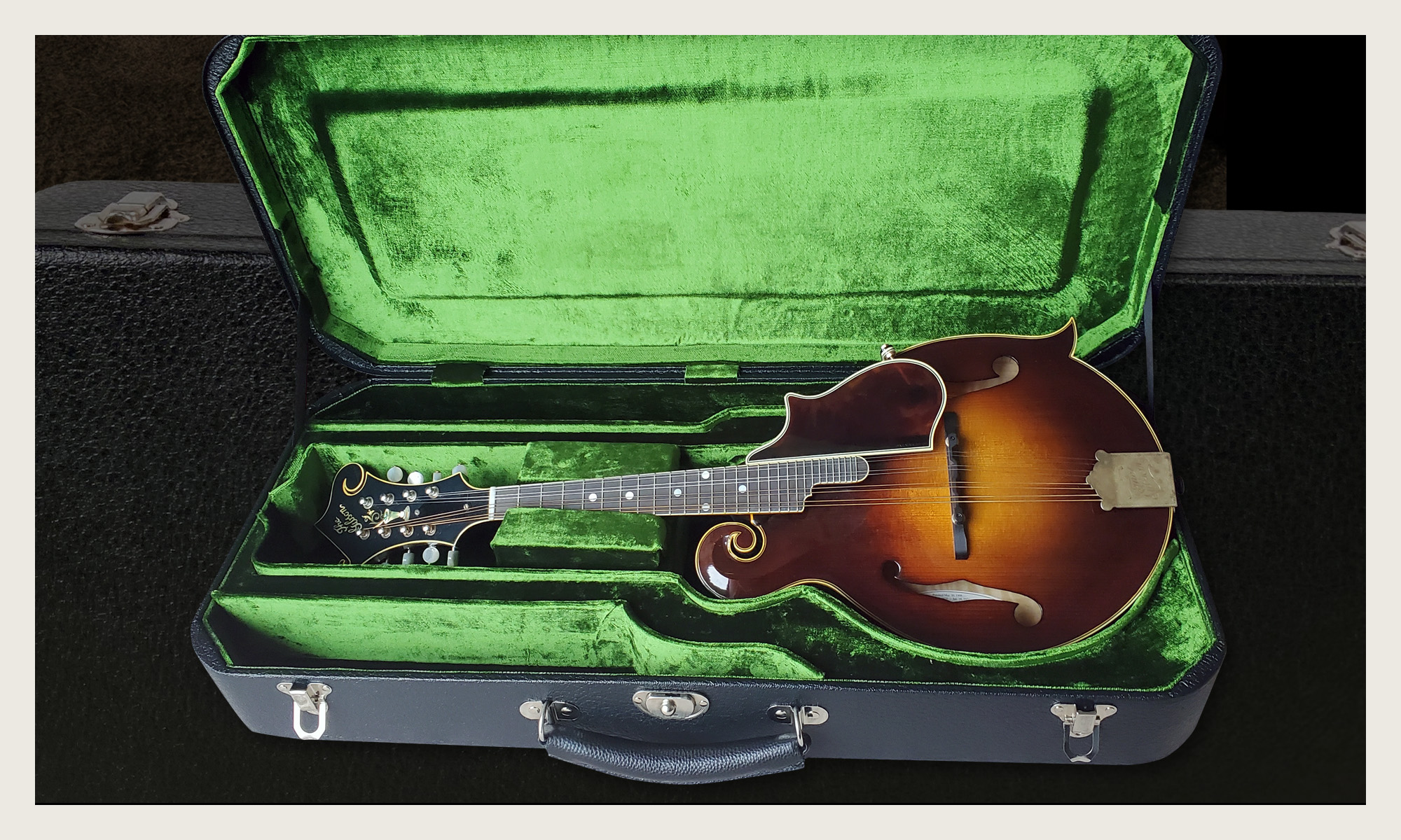 Cedar creek custom case loar f mandolin
