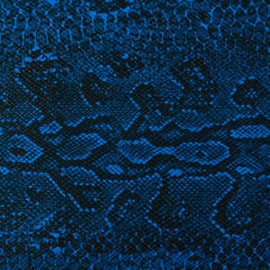 Cedar Creek Swatch Durahyde 192 Electric Blue Python