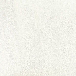 Cedar Creek Swatch Leather 043 Winter Ermine