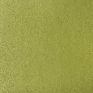 Swatch Leather 052 Peppercorn Green
