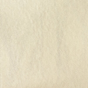 Swatch Leather 054 Wild Oat Milk