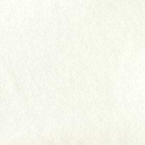 Swatch Leather 055 Latte Foam