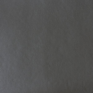 Swatch Leather 057 Stepping Stone