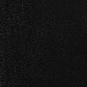 Swatch Leather 058 Amplified Black II